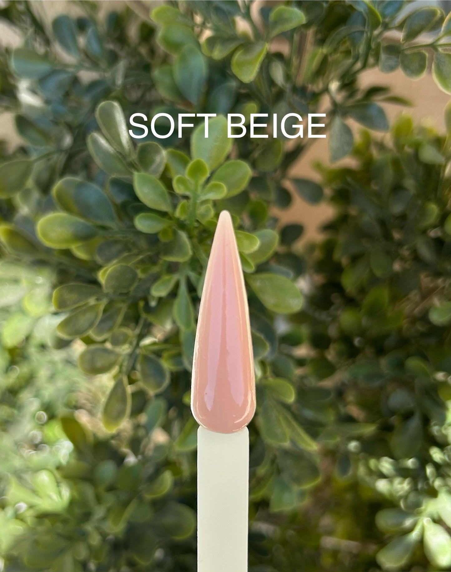 BUILDER GEL • Soft beige (30ML)